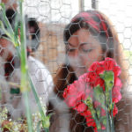 flores 3